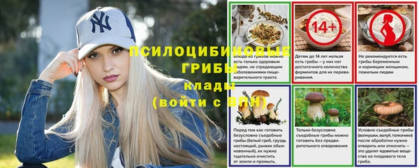 шишки Бронницы